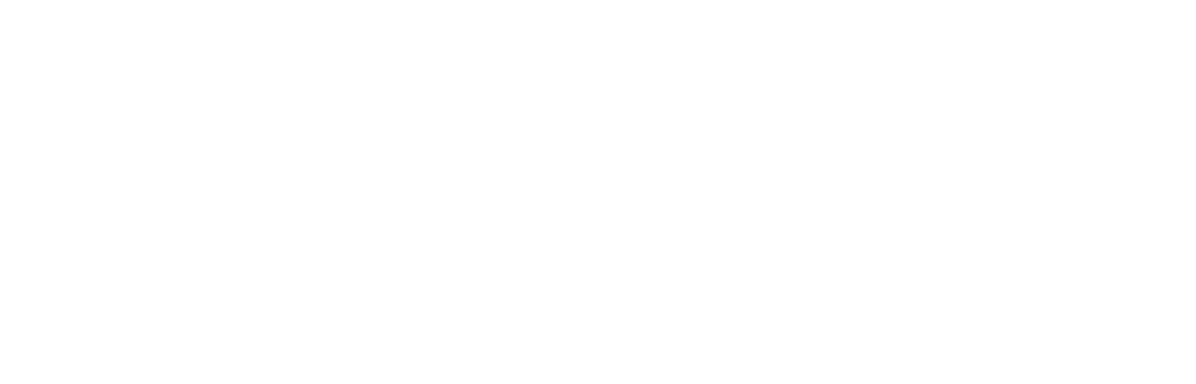 Electric Motor