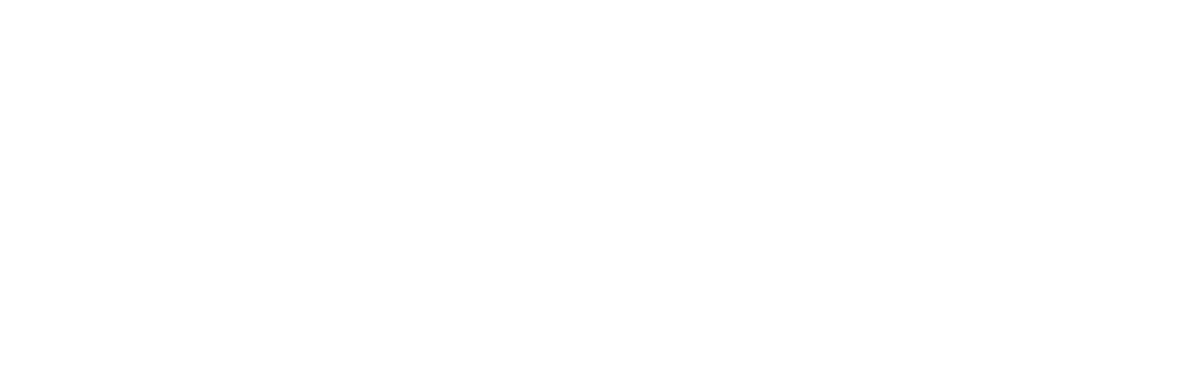Electric Motor